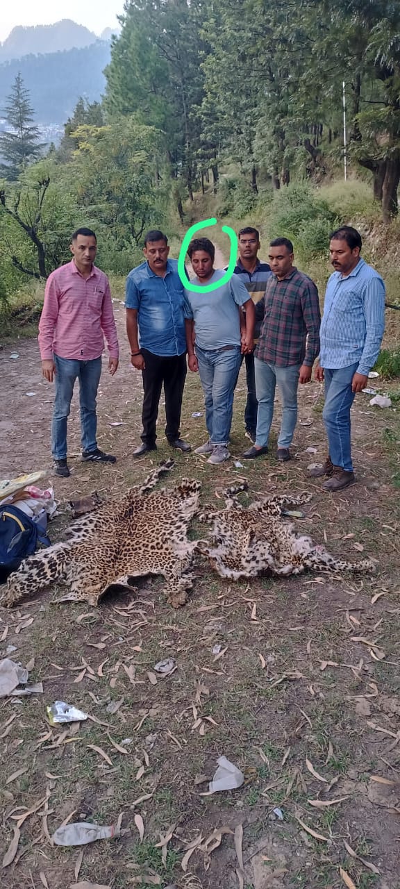 Wildlife smuggler caught