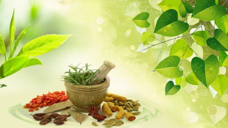 ayurveda colleges