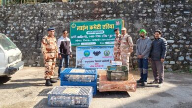 Animal Husbandry