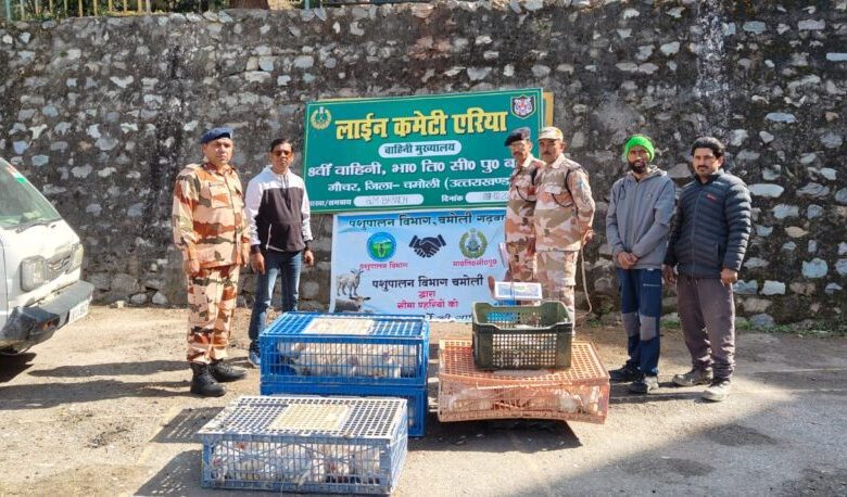 Animal Husbandry