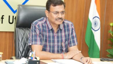 Eco tourism in forest area