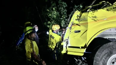 vehicle accident
