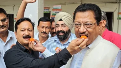Panchayat election