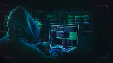 Inter-state cyber fraud 