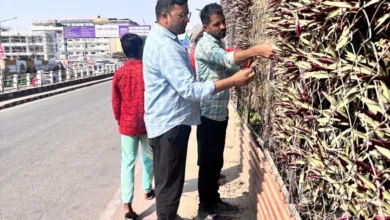 Review of beautification works