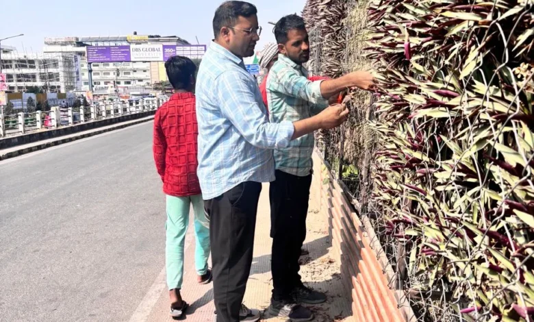 Review of beautification works