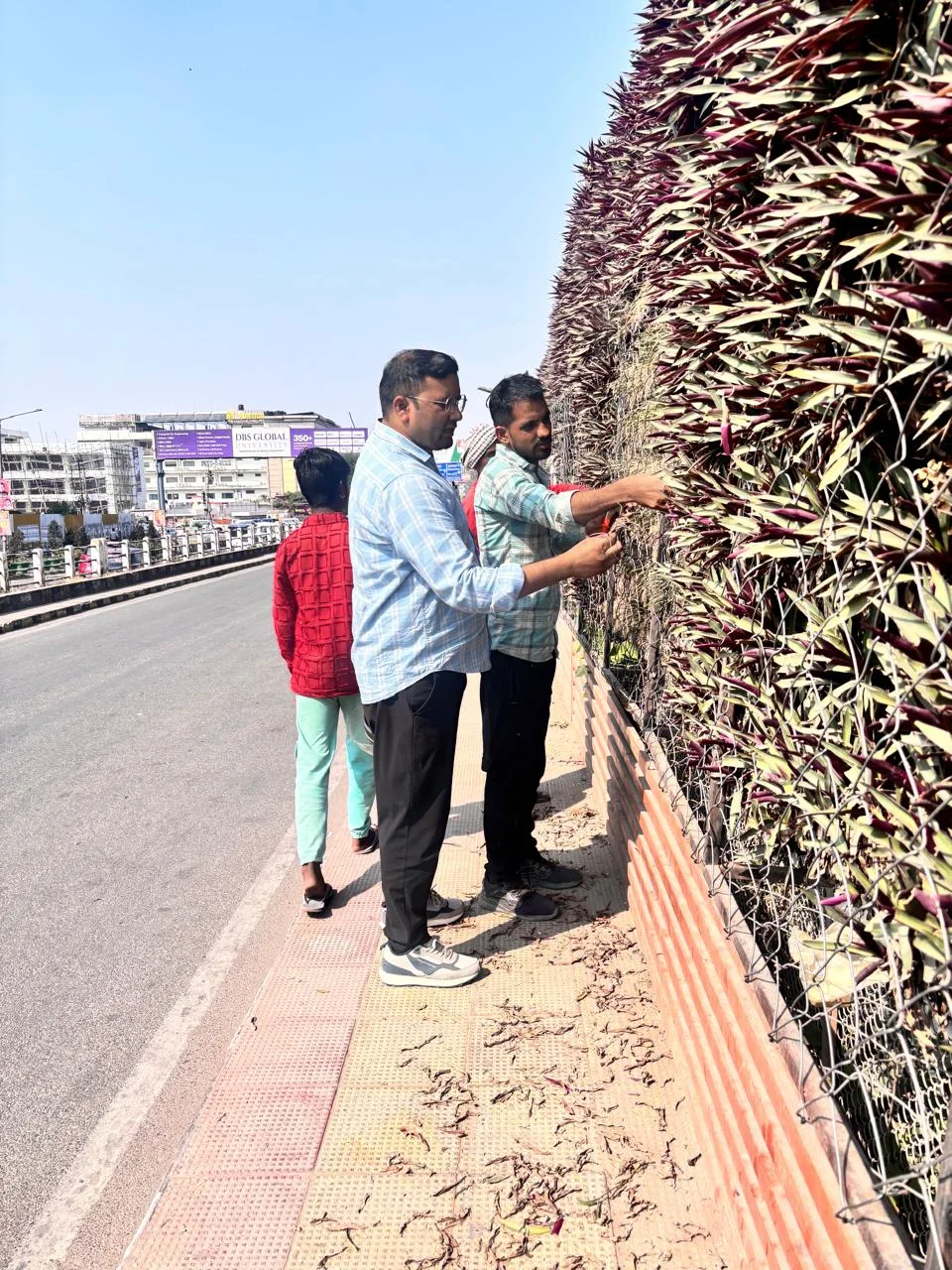 Review of beautification works