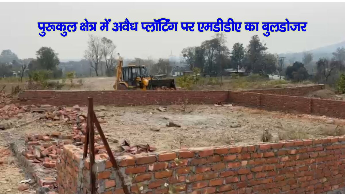 Purukul illegal plotting